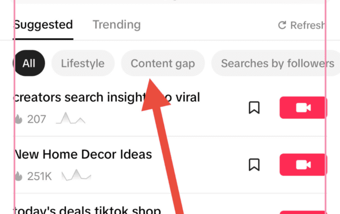 TikTok Creator Search Insights Content Success Guide